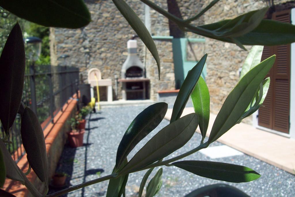 Bauernhof Il Nido Delle Rondini