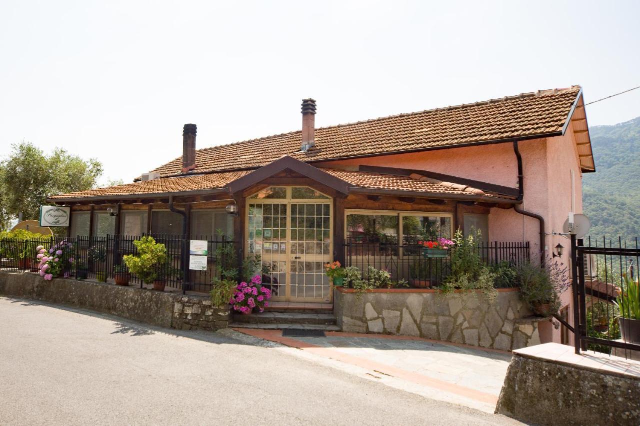 Il Nido Delle Rondini *